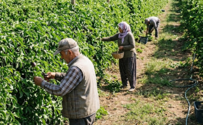 Brezilya’nın hazinesi Türkiye’de: İki ilde üretim üssü kuruldu