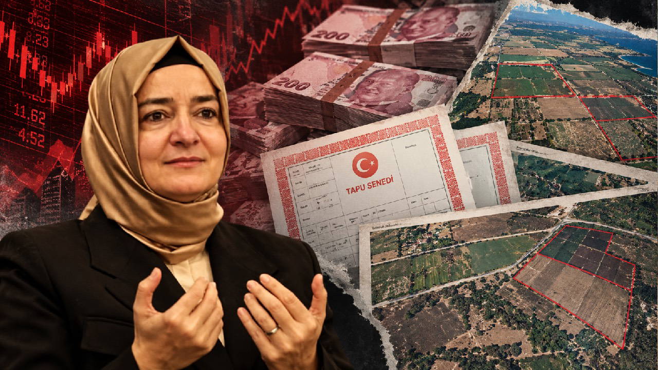 Fatma Betül Sayan Kaya’nın tapuları döküldü: Nereden geldi bu değirmenin suyu?