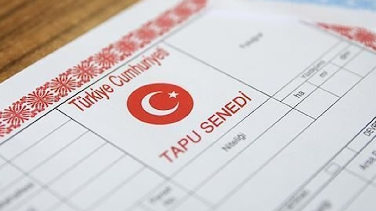 Tapuda yaş sınırına son nokta: Her yaşlıdan rapor istenmeyecek