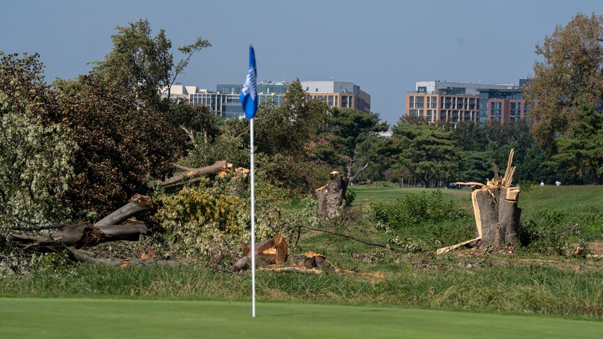 ABD Yargıcı, Trump'ın Golf Sahasındaki Ağaç Kesimini 26 Ekim'e Kadar Durdurdu
