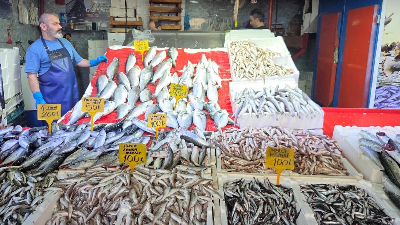 Palamudun tanesi 40 liraya düştü